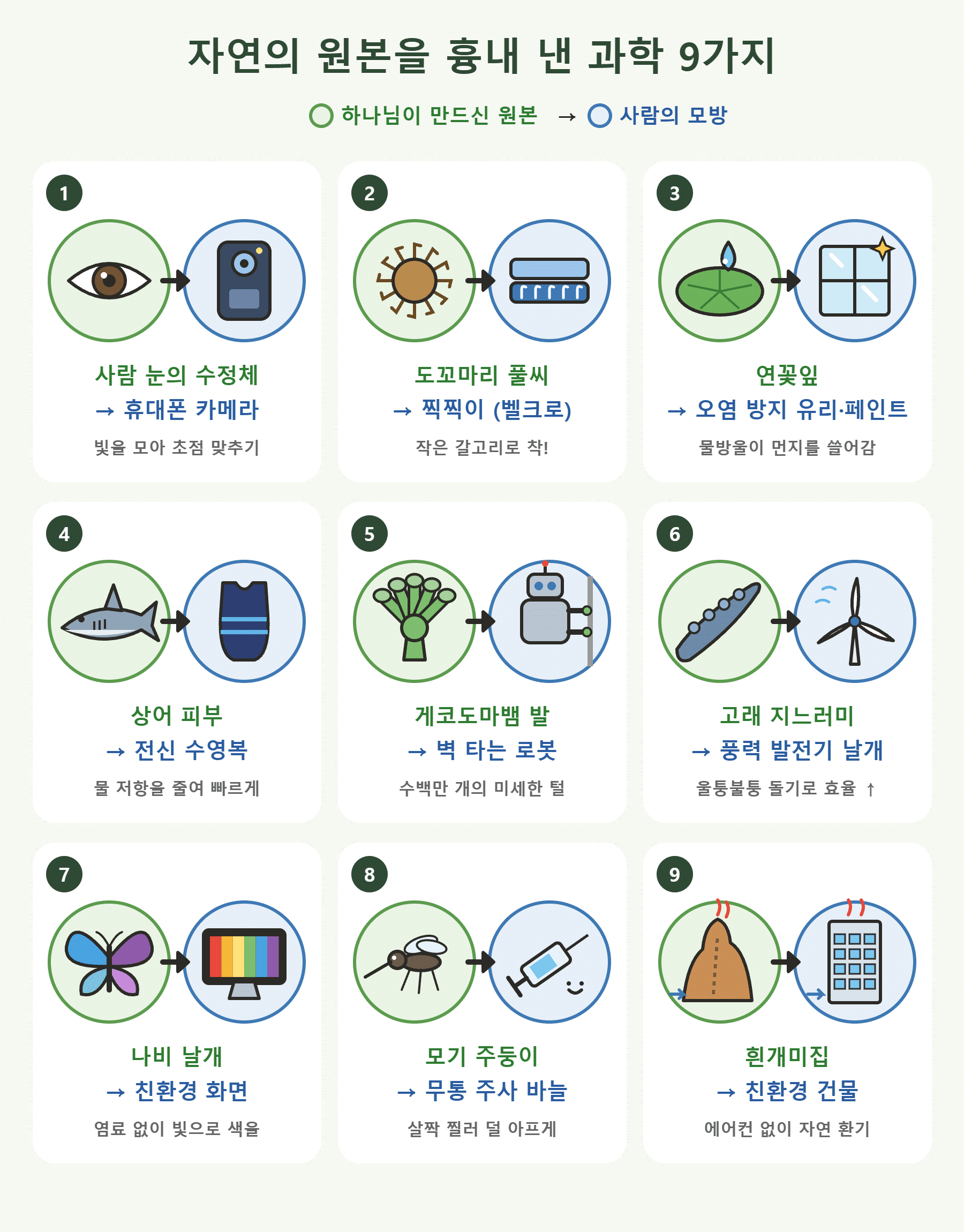 자연의 원본을 흉내 낸 과학 9가지