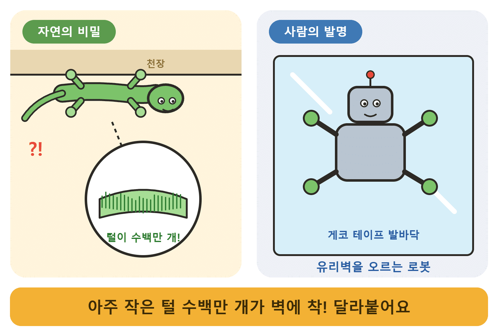 게코도마뱀 발바닥의 수백만 개 털과 벽을 오르는 로봇