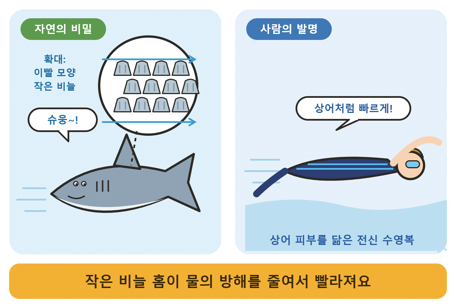 상어 피부의 이빨 모양 작은 비늘과 전신 수영복