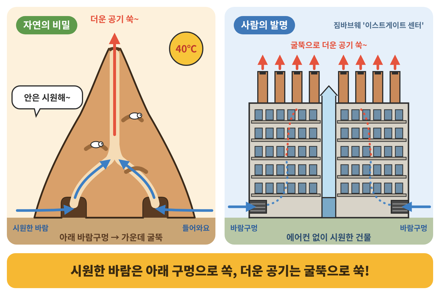 흰개미집 속 공기 흐름과 친환경 건물