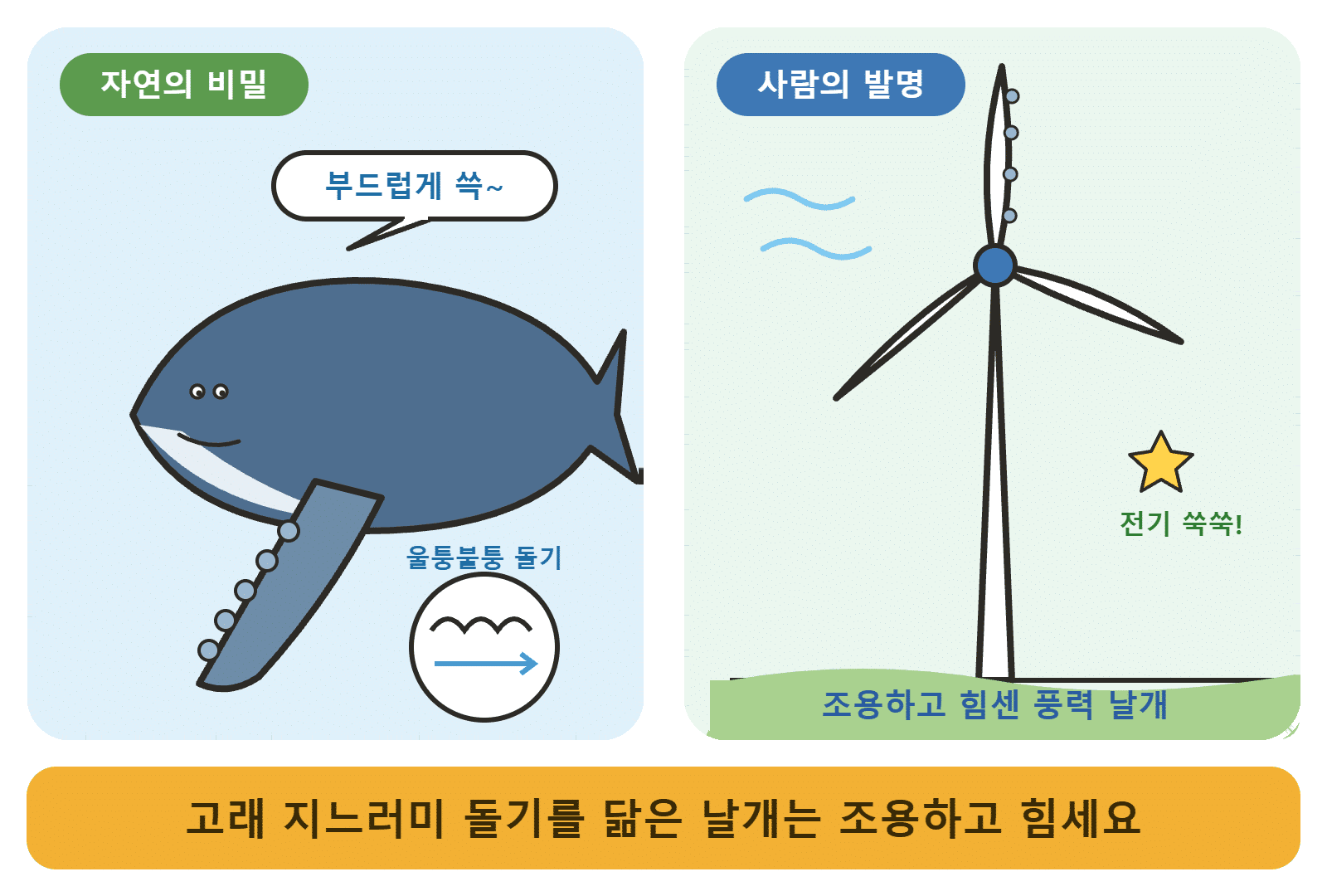 혹등고래 지느러미의 돌기와 풍력 발전기 날개